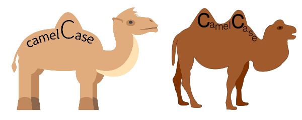 A camel and a dromedary side-by-side